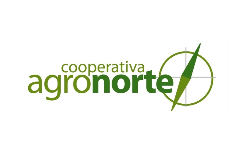 Socia 6